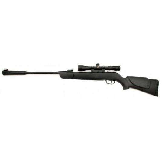 gamo-whisper-sting-with-scope-3288-536x536w