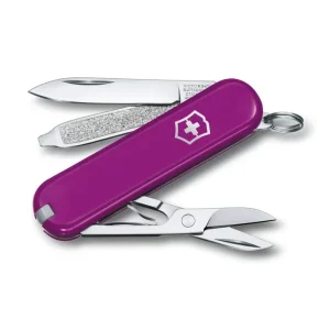 Classic SD Tasty Grape - Purple